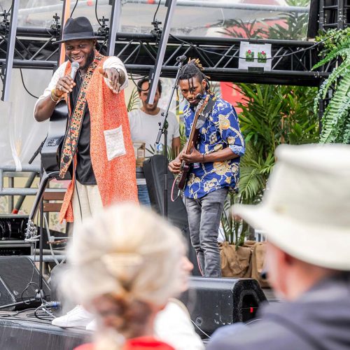 photo-site-carre╠u-PDE10-5